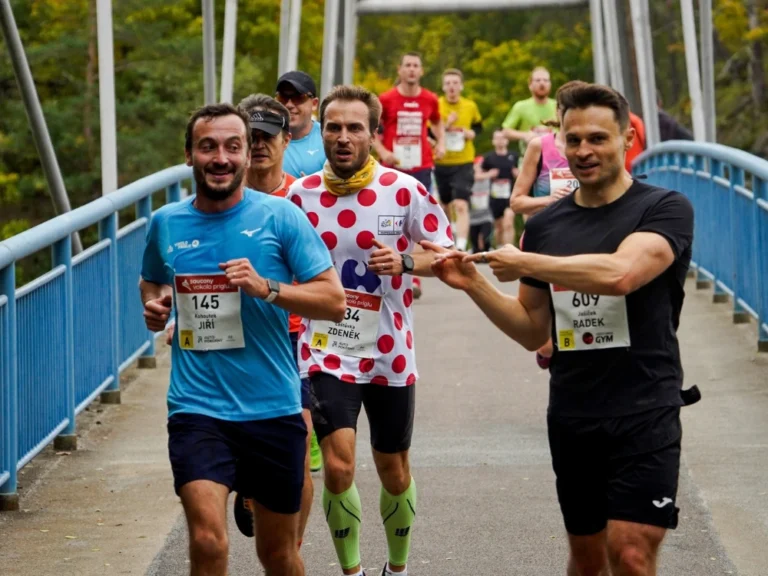 milt-vokkolo-priglu-banner
